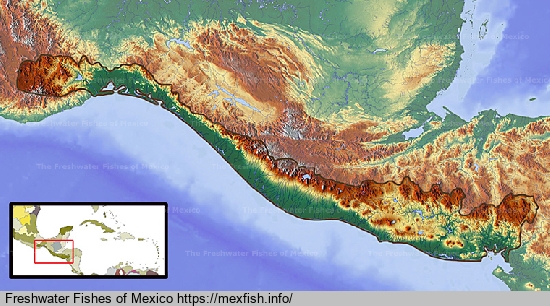 Chiapas - Fonseca