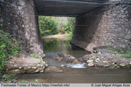 Creek under bridge Los Limites