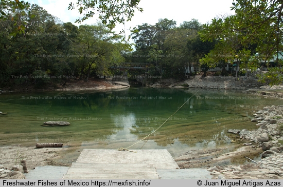 Nututun na rzece Chacamax