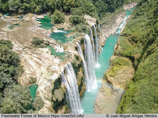 Aereal view of the Tamul waterfalls