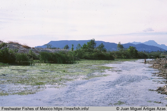 Tehuantepec River