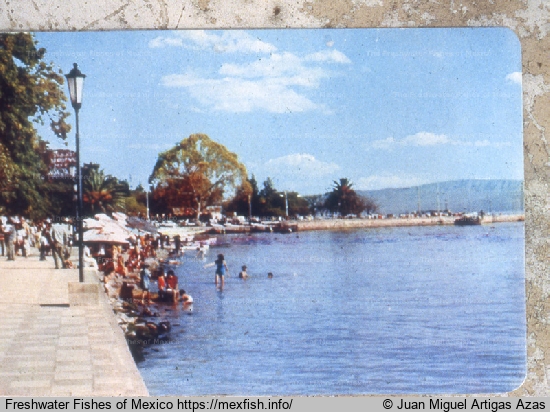 Lake Chapala in the 1970s